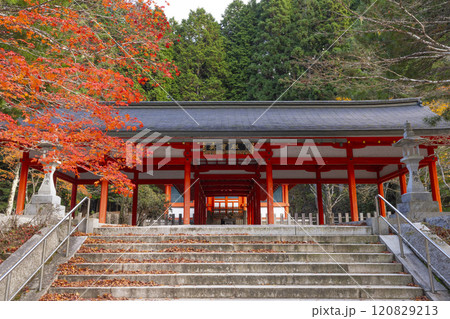 秋の高野山 紅葉と英霊殿 秋の高野山 紅葉と英霊殿 120829213