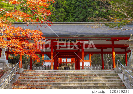 秋の高野山　紅葉と英霊殿 120829225