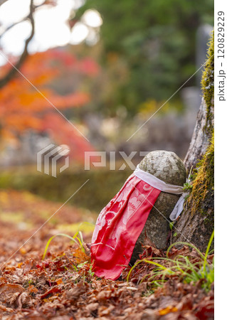 秋の高野山 紅葉と平和橋付近の石仏 秋の高野山 紅葉と平和橋付近の石仏 120829229