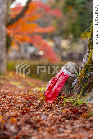 秋の高野山　紅葉と平和橋付近の石仏 120829231