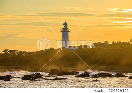夕方の秋の野島埼灯台　千葉県南房総市 120829536