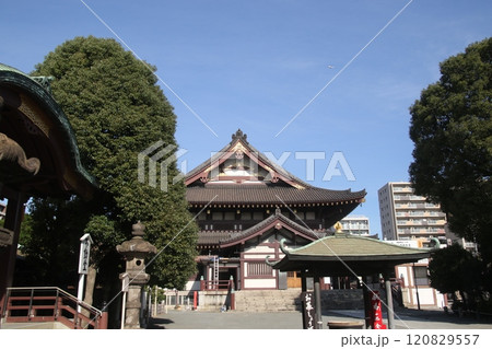 川崎大師を歩いた 川崎大師を歩いた 120829557