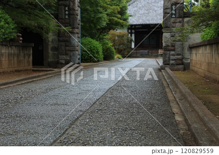 神社仏閣の風景 120829559