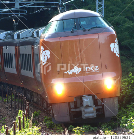 伯備線特急やくも号(273系電車:岡山⇔出雲市) 伯備線特急やくも号(273系電車:岡山⇔出雲市) 120829621