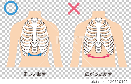 Open ribs Closed ribs 120830192