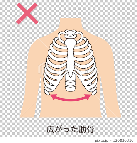 Open ribs Closed ribs 120830310