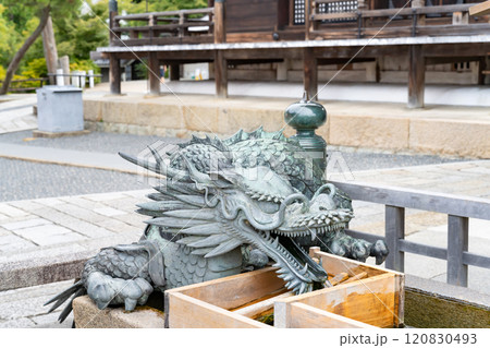 京都市東山　清水寺 120830493