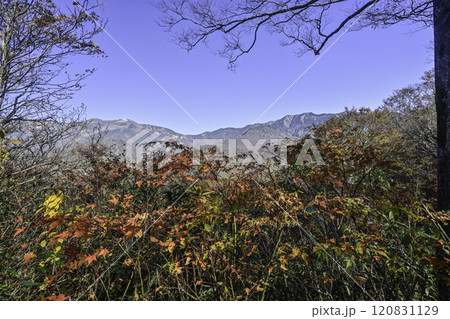 紅葉の白山展望 紅葉の白山展望 120831129