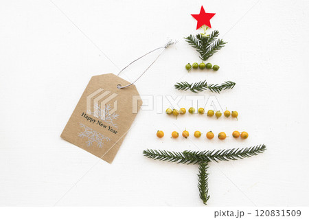 happy new year message card whit flora arrangement christmas tree  120831509