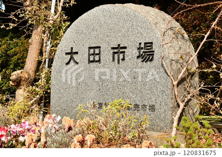 大田市場 標識 大田市場 標識 120831675