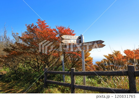 紅葉の御在所山上公園 紅葉の御在所山上公園 120831765