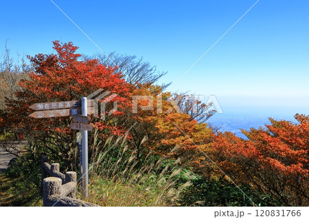 紅葉の御在所山上公園 120831766