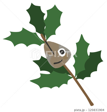 柊鰯のベクターイラスト 120831904
