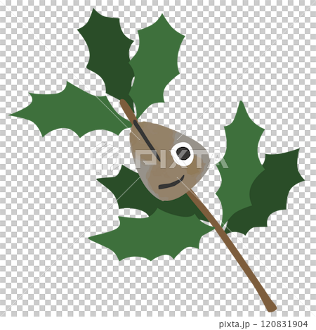 柊鰯のベクターイラスト 120831904