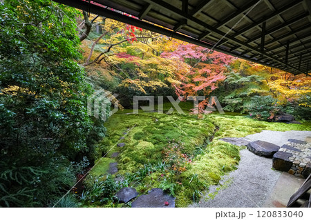京都八瀬 瑠璃光院紅葉 京都八瀬 瑠璃光院紅葉 120833040