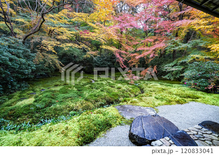 京都八瀬 瑠璃光院紅葉 京都八瀬 瑠璃光院紅葉 120833041