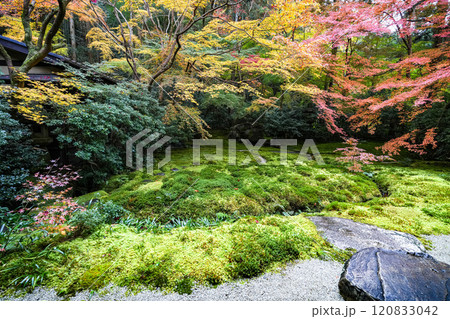 京都八瀬　瑠璃光院紅葉 120833042
