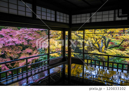 京都八瀬 瑠璃光院紅葉 京都八瀬 瑠璃光院紅葉 120833102