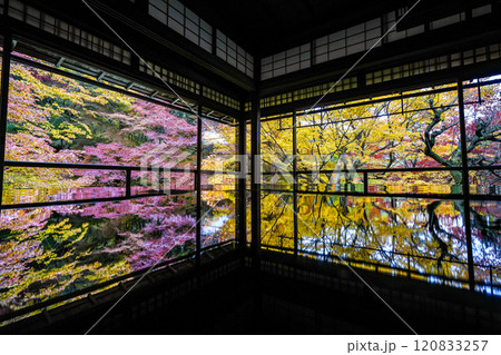 京都八瀬 瑠璃光院紅葉 京都八瀬 瑠璃光院紅葉 120833257