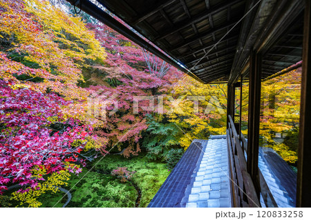 京都八瀬　瑠璃光院紅葉 120833258