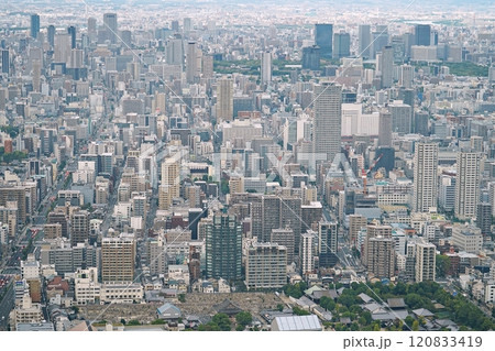 大阪 天王寺 あべのハルカスから見た大阪(北方向) 四天王寺と大阪城(夕方、秋) 大阪 天王寺 あべのハルカスから見た大阪(北方向) 四天王寺と大阪城(夕方、秋) 120833419
