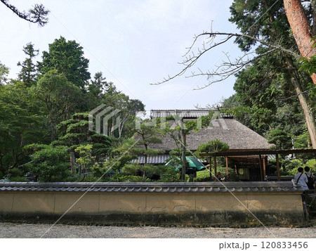 三重 伊賀 上野公園 忍者屋敷(夏) 三重 伊賀 上野公園 忍者屋敷(夏) 120833456