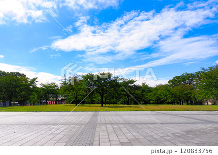 九月の西公園お花見広場・宮城県仙台市青葉区 120833756
