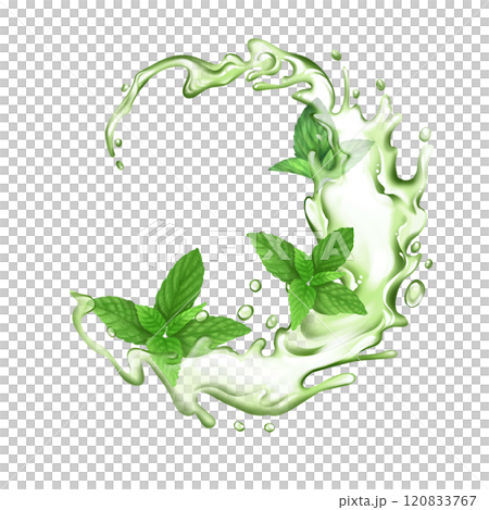 Green water wave splash with mint leaves. Herbal tea drink flow illustration 120833767