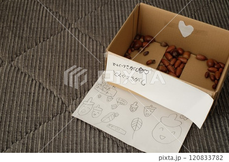 どんぐりで工作 120833782