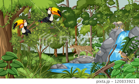 Lush Jungle with Diverse Wildlife Lush Jungle with Diverse Wildlife 120833921