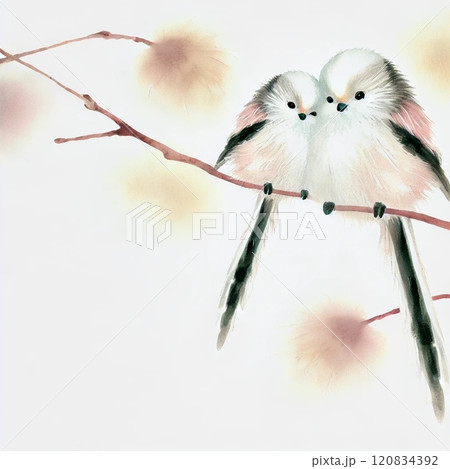 静寂の枝先で寄り添うシマエナガ 120834392