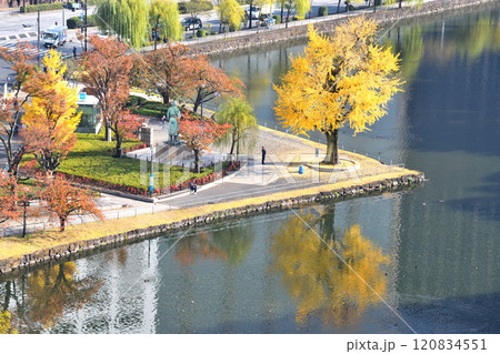 皇居の堀に映る紅葉したイチョウの木 120834551