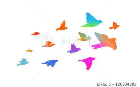 Abstract flying colored birds. hand drawing. Not AI. Vector illustration Abstract flying colored birds. hand drawing. Not AI. Vector illustration 120834803