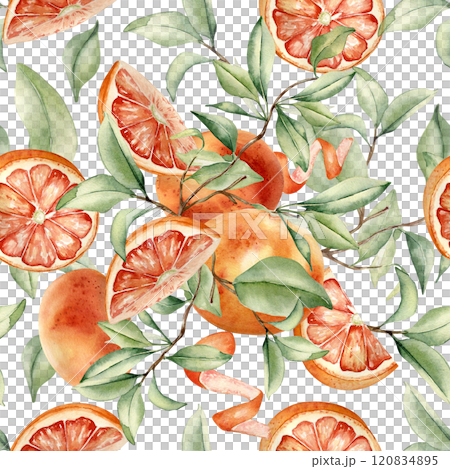 Grapefruit tree foliage watercolor seamless pattern on isolated background. Bright summer repeated texture hand drawn with citrus fruits sliced, red orange ripe, branches leaves for design textile. Grapefruit tree foliage watercolor seamless pattern on isolated background. Bright summer repeated texture hand drawn with citrus fruits sliced, red orange ripe, branches leaves for design textile. 120834895