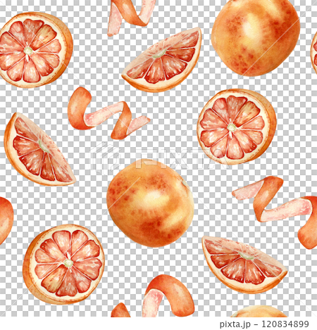 Red grapefruit slices, halves and whole fruit, peel spiral watercolor seamless pattern isolated on white. Ripe citruses on repeated background hand drawn . Red oranges in botanical sketch painted. 120834899