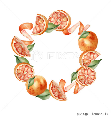 Grapefruits whole and segments, orange citrus curl and leaves watercolor frame isolated on white. Bright summer wreath hand drawn with red orange citrus fruits, sliced, swirl peel for packaging, card. Grapefruits whole and segments, orange citrus curl and leaves watercolor frame isolated on white. Bright summer wreath hand drawn with red orange citrus fruits, sliced, swirl peel for packaging, card. 120834915
