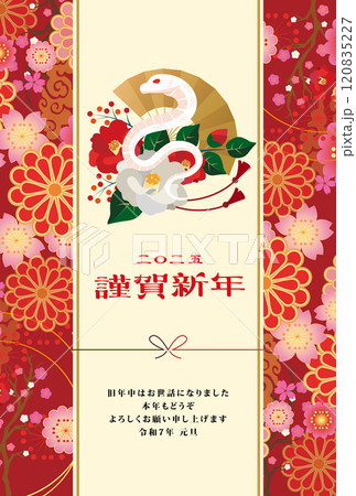 年賀状　2025年　巳年　 120835227