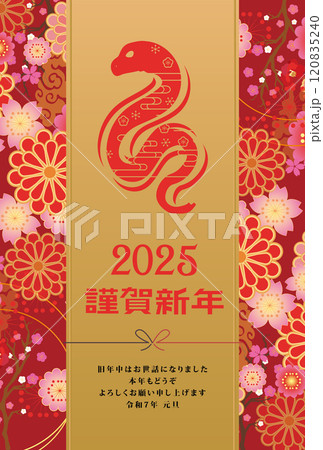 年賀状　2025年　巳年　 120835240