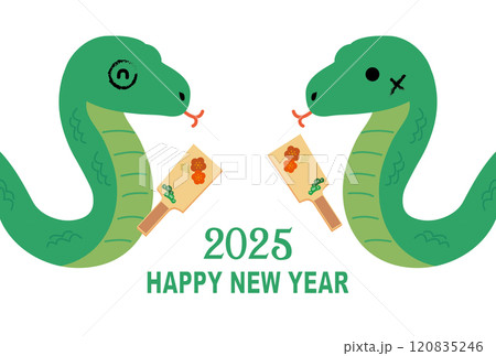 年賀状　2025年　巳年　 120835246