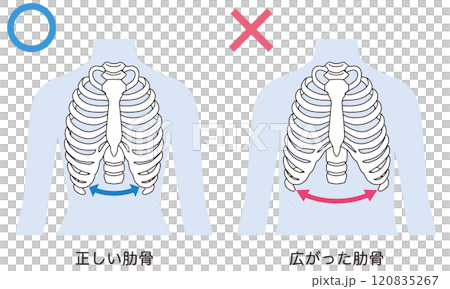 Open ribs Closed ribs Open ribs Closed ribs 120835267