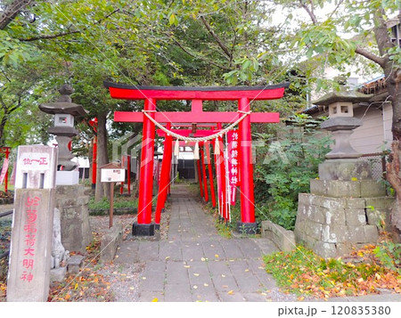 於菊稲荷神社 120835380
