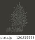 Christmas tree with gifts sketch style drawing. Hand drawn in hatching style. Chalk drawings on graphic board. Christmas and New Year cards design on gray background 120835553