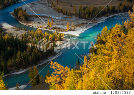 Scenic view of Altai river winding through autumn forest landscape Scenic view of Altai river winding through autumn forest landscape 120835558
