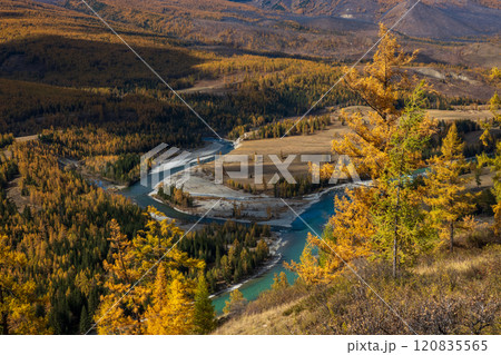 Serene view of Altai landscape with winding river and autumn colors 120835565