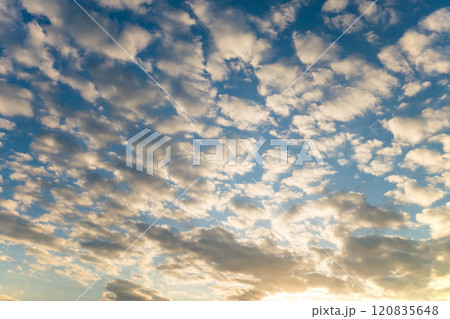 「羊雲」が広がる朝焼け空 120835648