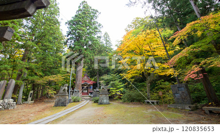 中野もみじ山　秋の中野神社　青森県 120835653