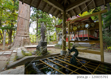 中野神社　秋　青森県　中野もみじ山 120835701