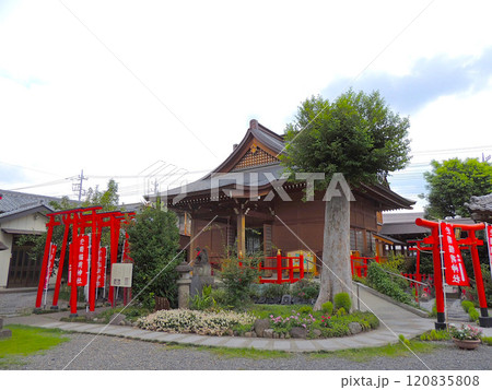 於菊稲荷神社 社殿 於菊稲荷神社 社殿 120835808