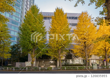 渋谷税務署、渋谷地方合同庁舎 120835955