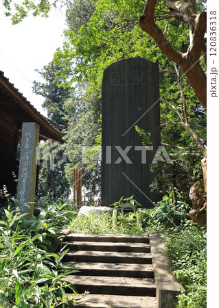 群馬県館林市の茂林寺の風景 群馬県館林市の茂林寺の風景 120836318